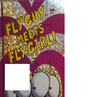 苍蝇伙计系列-Fly Guy Meets Fly Girl